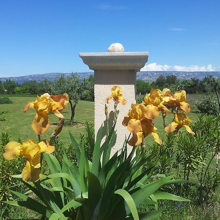 Lamanderie En Provence Bed & Breakfast Alleins Dış mekan fotoğraf
